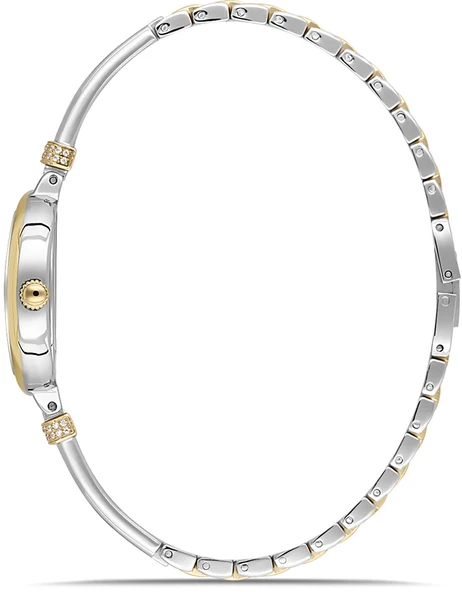Momentus SW294T-02SG - Resim 2