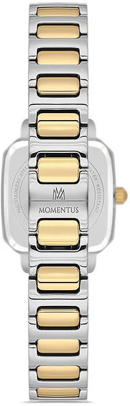 Momentus CW321G-15TG - Resim 3