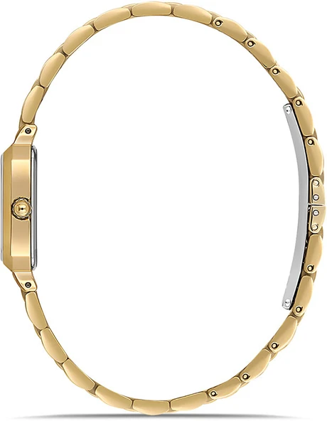 Momentus SS398G-15SG - Resim 2