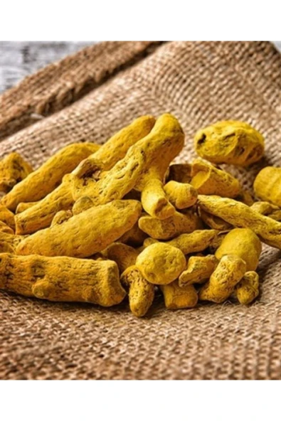 Zerdeçal Kök 500 gr ürün görseli 1