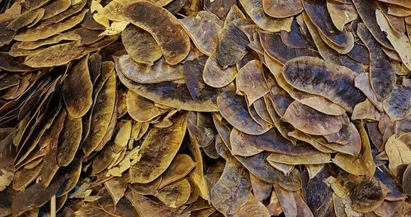 AÇLIK OTU 300 GR ürün görseli 1