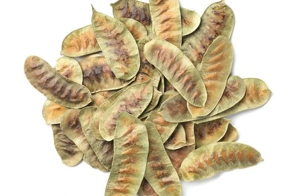 AÇLIK OTU 150 GR - Resim 3