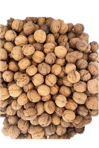 Kahramanmaraş Kabuklu Ceviz 1 Kg ürün görseli 1