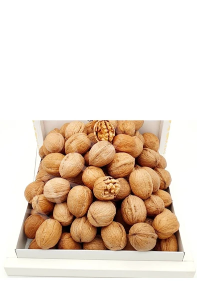 KAHRAMANMARAŞ KABUKLU CEVİZ (MARAŞ 18) 2 KG ürün görseli 1