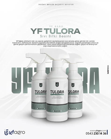 YF AGRO TULORA Süs bitkileri ve Sera çiçekleri için ürün görseli 1