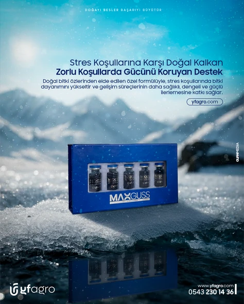 MAXGUSS ürün görseli 1