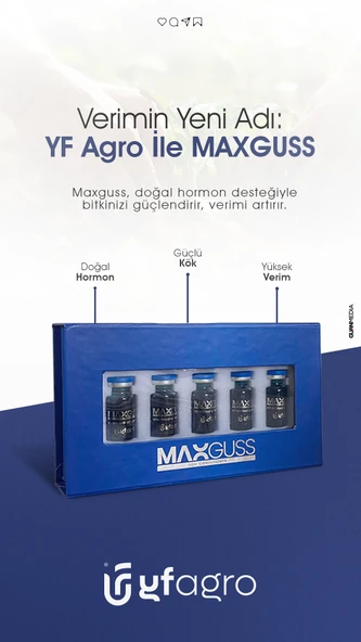 MAXGUSS - Resim 4