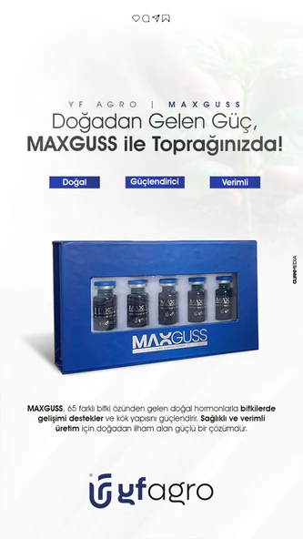 MAXGUSS - Resim 3