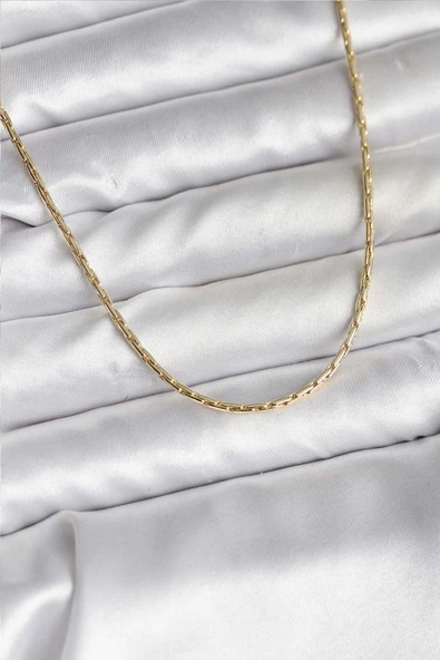 14K Gold Renk Kaplama İnce Zincir Model CM Kadın Kolye 5886 ürün görseli 1