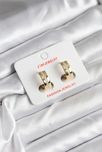 14K Gold Renk Kaplama Zirkon Taşlı Halka Model CM Kadın Küpe 5886 ürün görseli 1