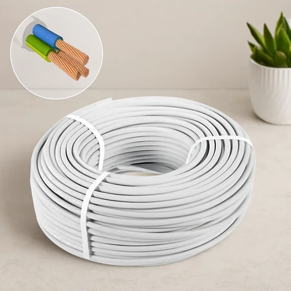 Ttr 3X2.5 Mm Cca Elektrik Kablosu 100 M ürün görseli 1