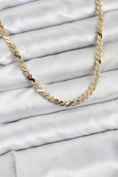 Pirinç Gold Renk Yassı Zincir Kadın Kolye ürün görseli 1