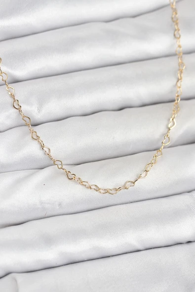 Cm 14K Gold Renk Zincirli Kadın Kolye ürün görseli 1