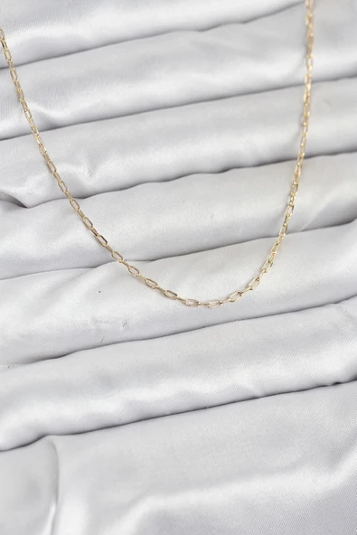 Cm 14K Gold Renk Ataç Zincir Model 60 Cm Kadın Kolye ürün görseli 1