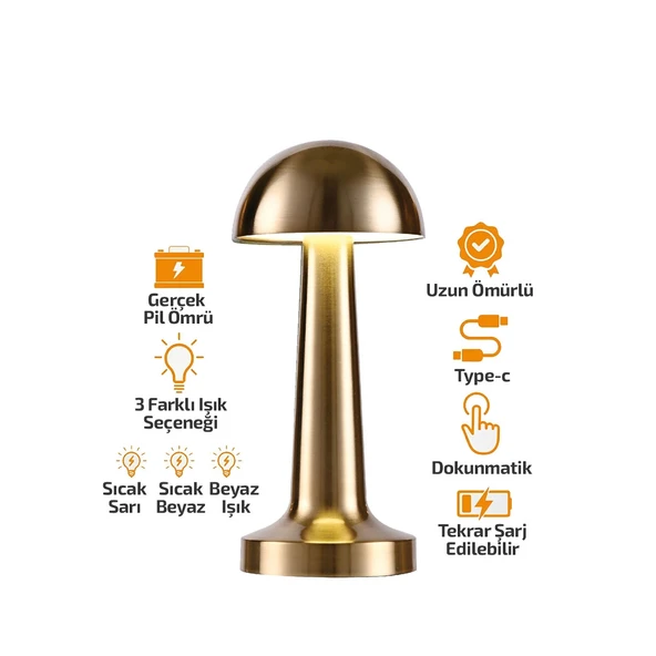 Oval - Metal Mantar Masa Lambasi Dokunmati̇k - Renkli̇ Şarjli 3 Fonksi̇yonlu Yl86-1231 (5047) ürün görseli 1