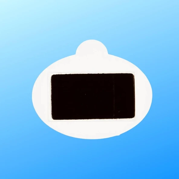 Kanada Temalı Oval Magnet - Resim 2
