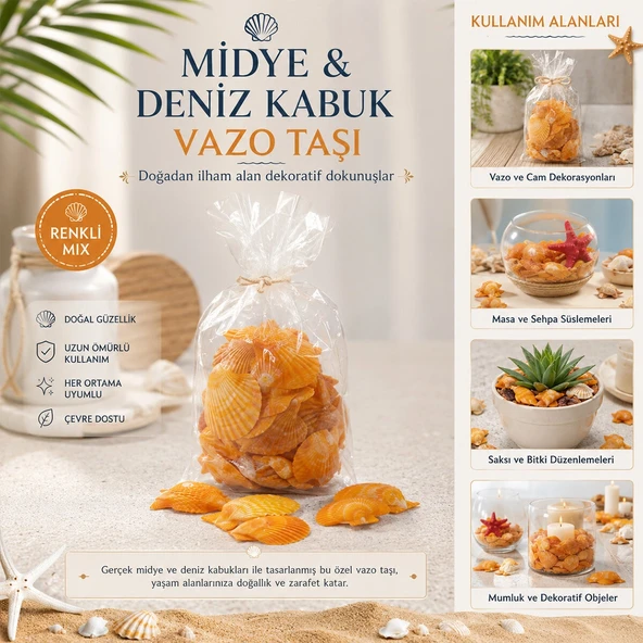 Poşetli̇ Renkli̇ Mi̇x Mi̇dye - Deni̇z Kabuk Vazo Taşi (5047) ürün görseli 1
