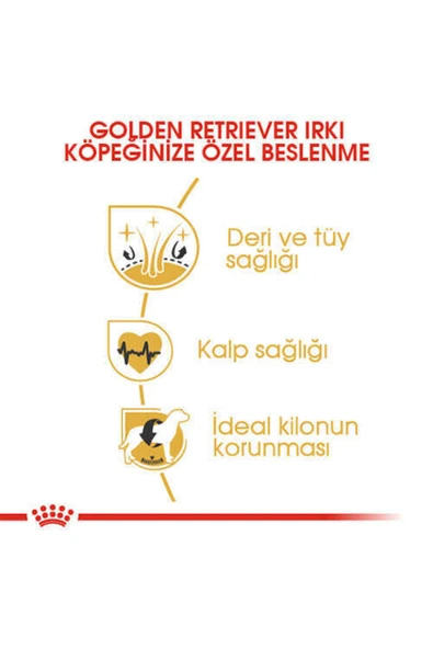Royal Canin Golden Retriever Köpek Maması 12 kg ürün görseli 1