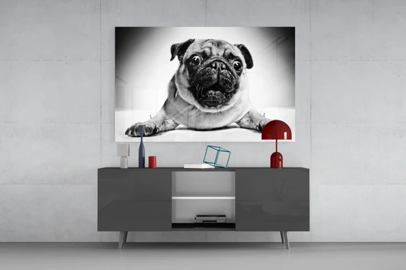 Pug Cam Tablo - Resim 8