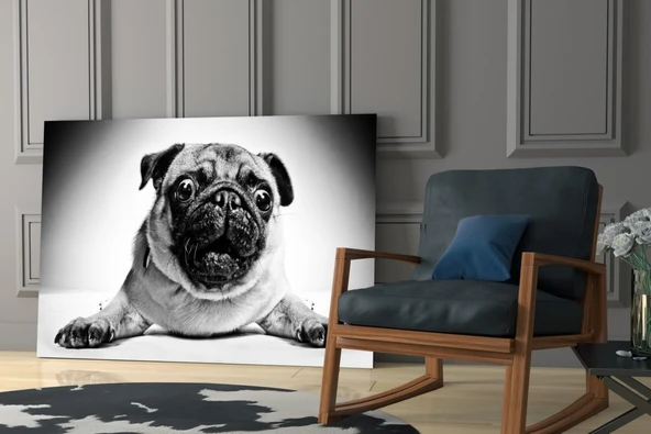 Pug Cam Tablo - Resim 6