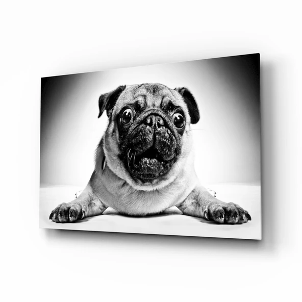 Pug Cam Tablo ürün görseli 1