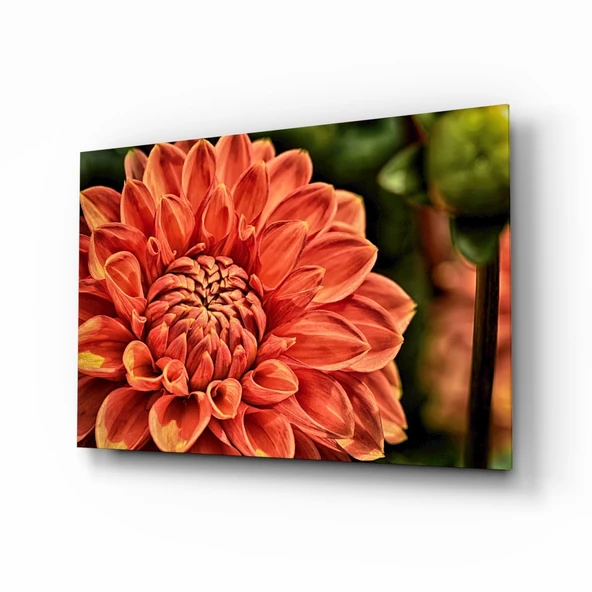 Turuncu Gerbera Cam Tablo ürün görseli 1