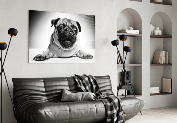 Pug Cam Tablo - Resim 4