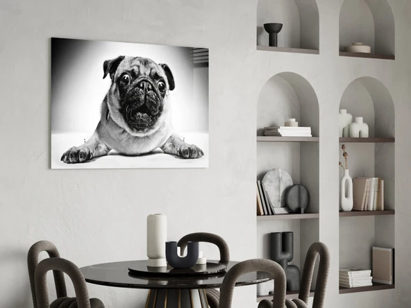 Pug Cam Tablo - Resim 5