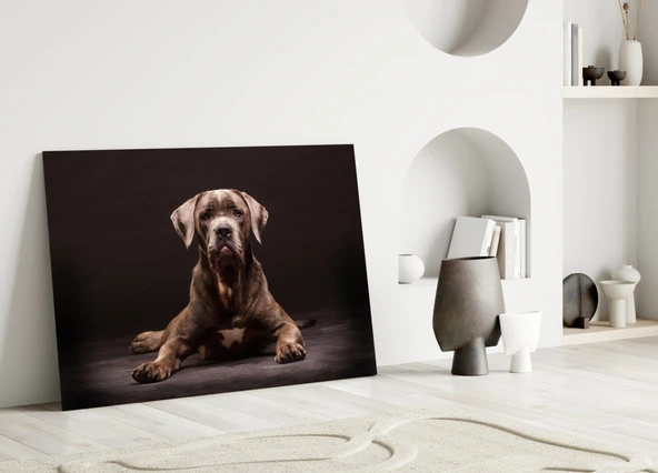 Köpek Cam Tablo - Resim 3