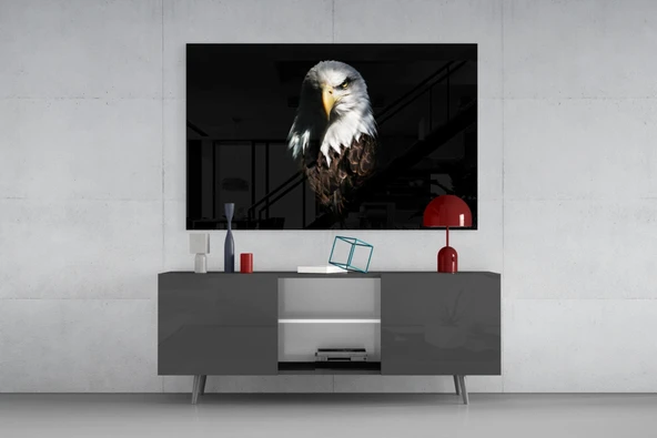 Kartal Cam Tablo - Resim 8