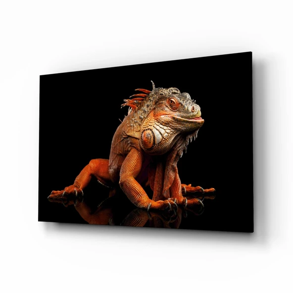 Komodo Ejderhası Cam Tablo ürün görseli 1