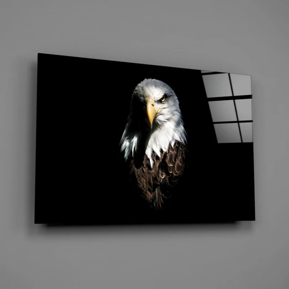 Kartal Cam Tablo - Resim 2