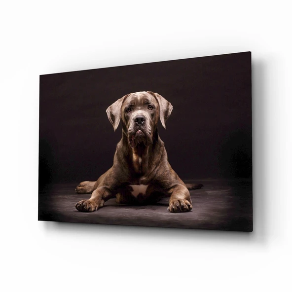Köpek Cam Tablo ürün görseli 1