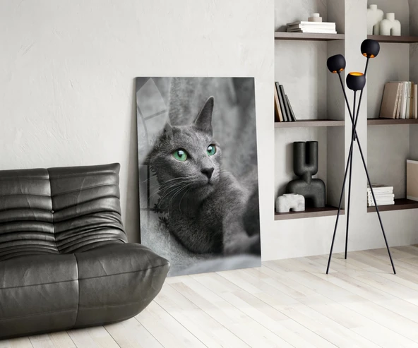 Kedi Cam Tablo - Resim 5