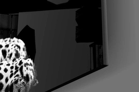 Leopar Cam Tablo - Resim 7