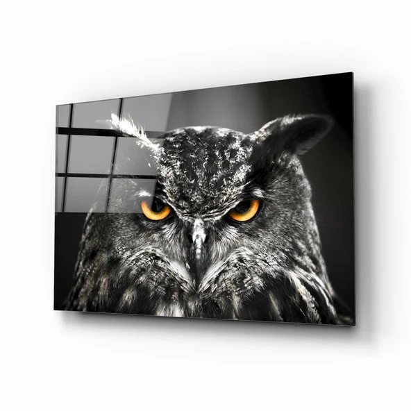 Baykuş Cam Tablo ürün görseli 1