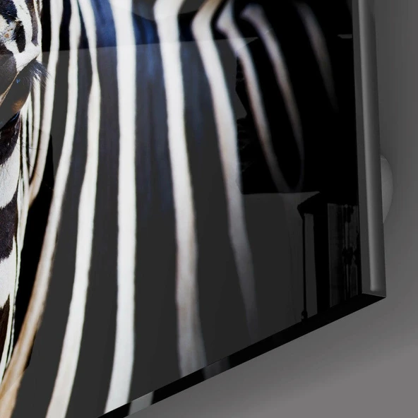 Zebra Cam Tablo - Resim 3