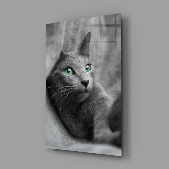 Kedi Cam Tablo - Resim 2