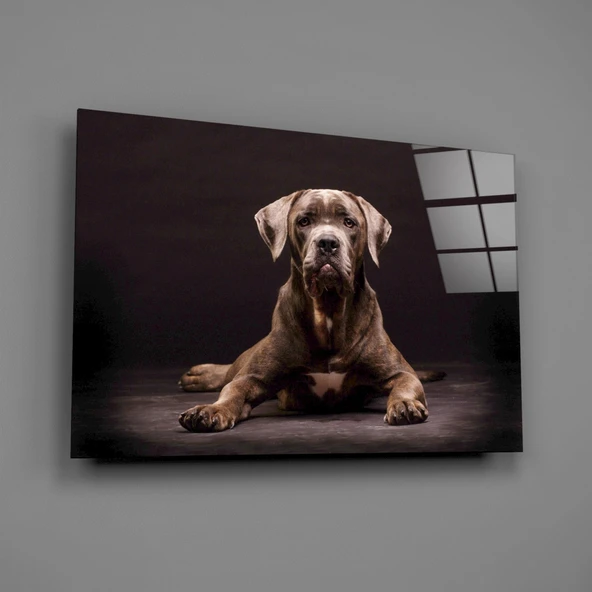 Köpek Cam Tablo - Resim 2