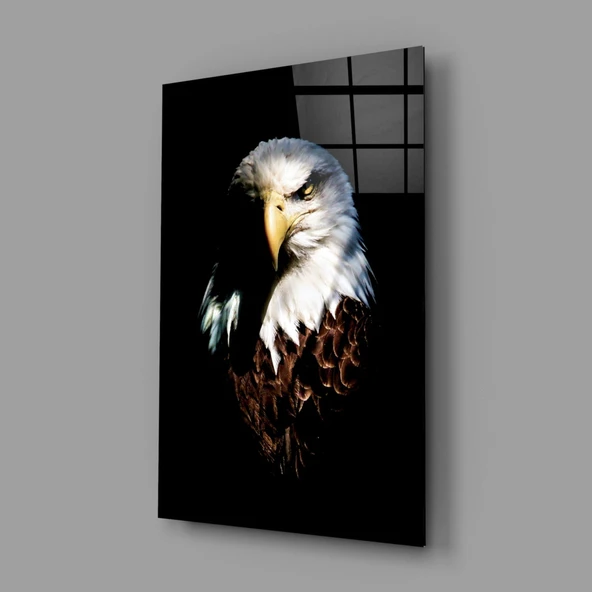 Kartal Cam Tablo - Resim 2