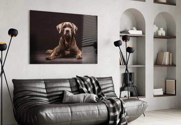 Köpek Cam Tablo - Resim 4