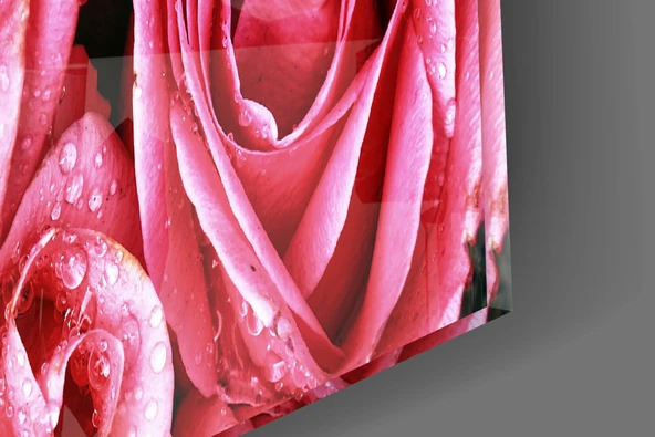 Pembe Gül Cam Tablo - Resim 7
