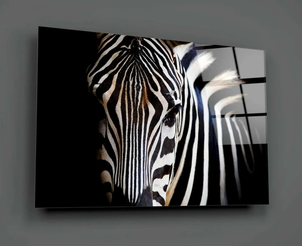 Zebra Cam Tablo - Resim 2