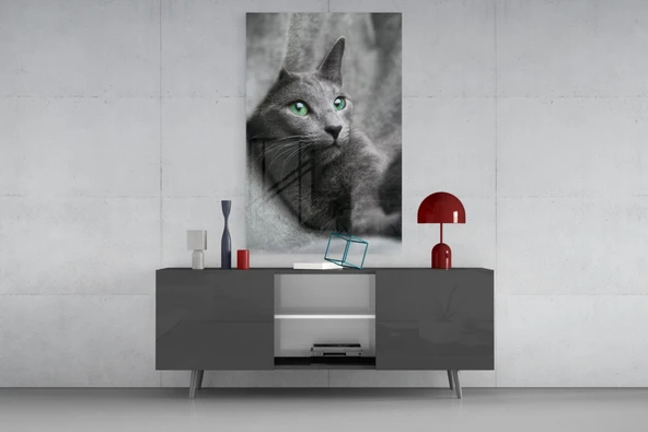Kedi Cam Tablo - Resim 8