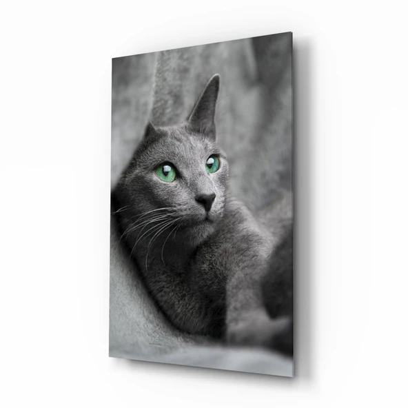 Kedi Cam Tablo ürün görseli 1