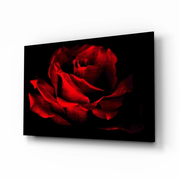 Kırmızı Gül Cam Tablo ürün görseli 1