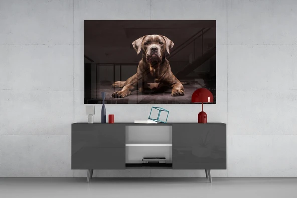 Köpek Cam Tablo - Resim 8
