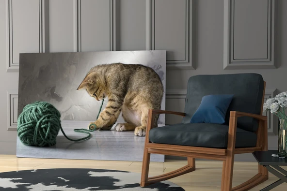 Kedi Cam Tablo - Resim 6