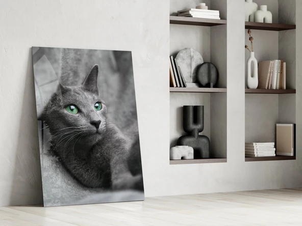 Kedi Cam Tablo - Resim 6