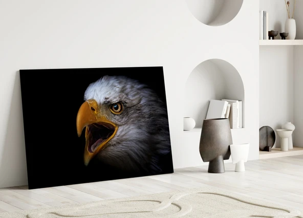 Kartal Cam Tablo - Resim 3